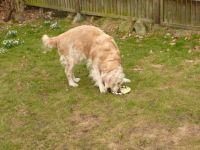 Camillas Geburtstag 13 Jahre